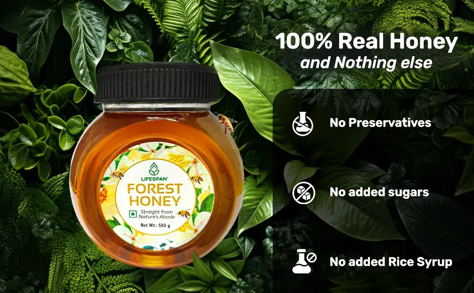 Lifespan Forest Honey 500 gm (3)