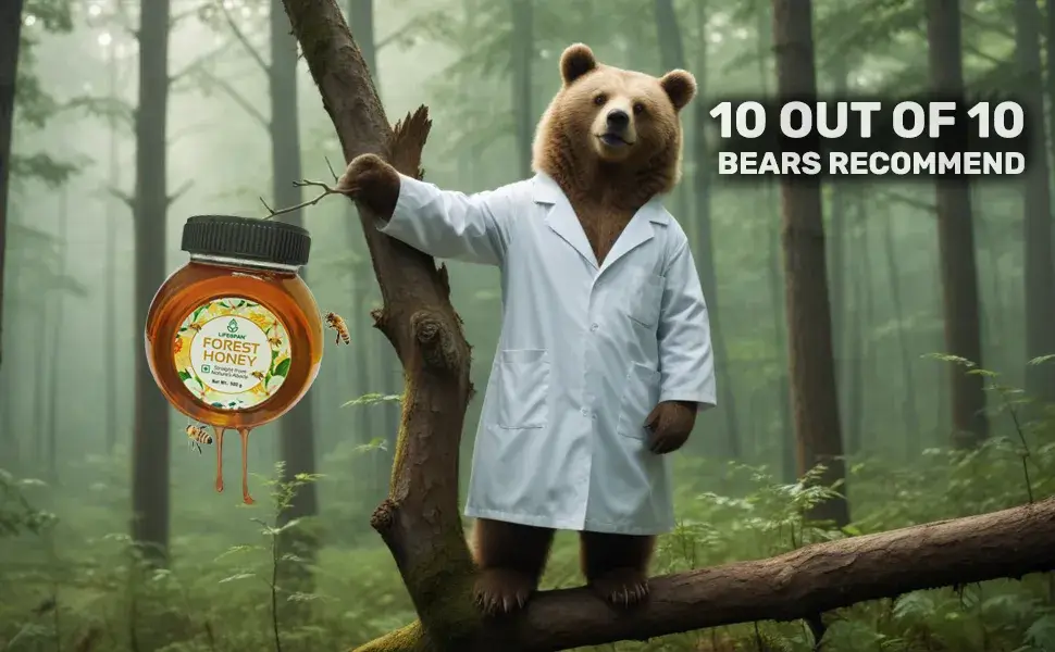 Lifespan Forest Honey 500 gm (6)
