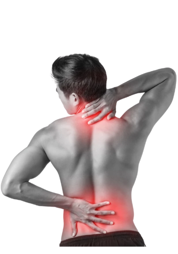 Lifespan paineaze oil