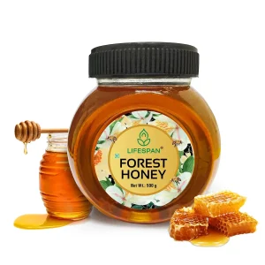 Organic Forest Honey (500gm)